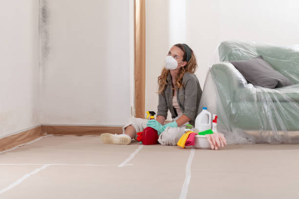 Trusted Commercial Mold Remediation service in La Center, WA - WQB Mold Removal
